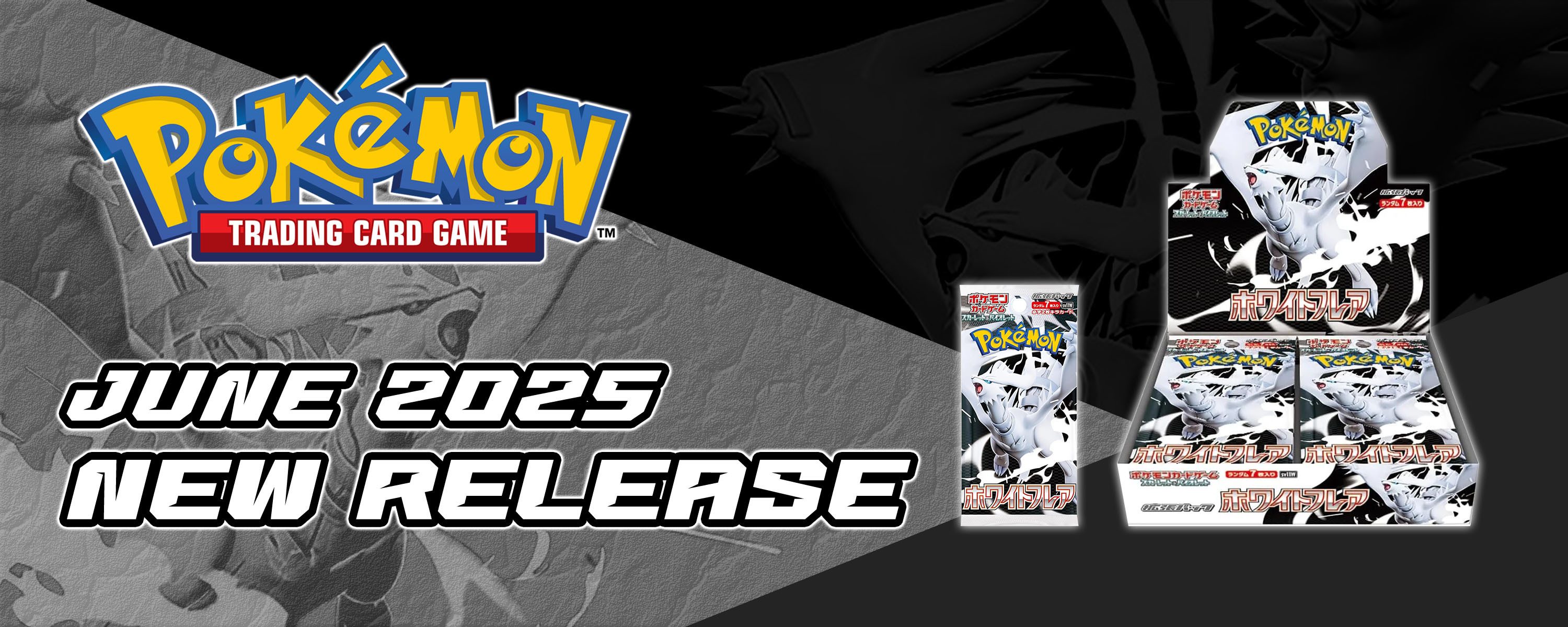 2025 JUNE POKEMON CARD