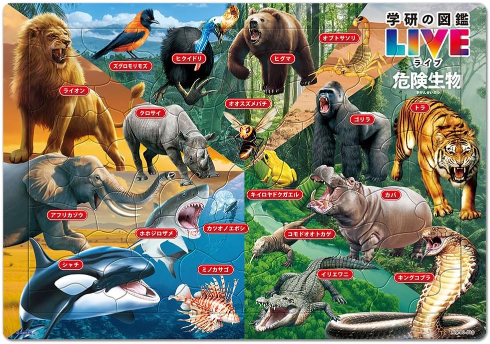 Cloud Zoom small image