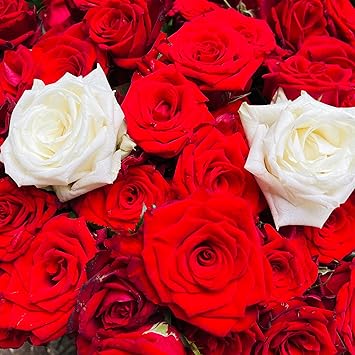 Cloud Zoom small image