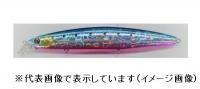 Daiwa Shoreline Shiner Z Vertis SD 140F Live Flatfish