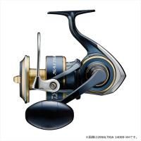 Shimano 16 BB-X Despina 2500 DXG