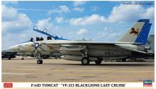 Hasegawa 1/72 US Navy F-14D Tom Cat VF-213 Black Lions Last Cruise Plastic Model 02406