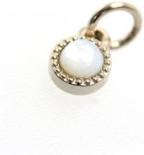 CITIZEN wicca Charm for exclusive use of breath line P-399-03901