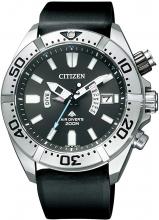 CITIZEN PROMASTER Eco-Drive radio-controlled watch Land Series PMD56-2952 Men's