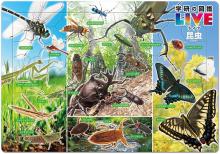 Tenyo (Made in Japan) Child Pu...