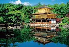 (Made in Japan) Beverly 1000 Micro Piece Jigsaw Puzzle Kinkakuji (26 x 38) 1000M-021