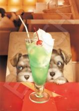 108 Piece Jigsaw Puzzle Animal Cheeks are Pittanko (18.2 x 25.7 cm)