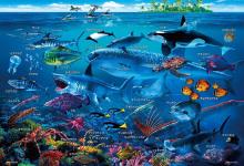 Beverly 100 Piece Jigsaw Puzzle Let's Remember the Sea Creatures! (26 x 38 cm) 100-029