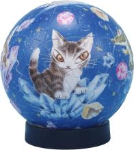 WACHIFIELD Dayan and the Shoot...