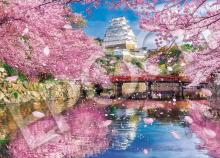 500 Piece Jigsaw Puzzle Cherry Blossom Himeji Castle (38 x 53 cm)
