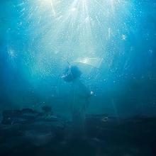 Aqua Timez Stars Falling in th...