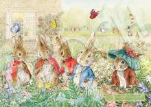 Peter Rabbit(2)