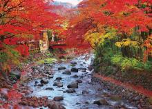Yanoman (Yanoman) (Made in Jap...