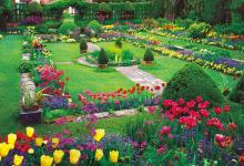 3000Pieces Puzzle Master of the ultimate puzzle Lassen Brilliant Passage Small Pieces(73x102cm)