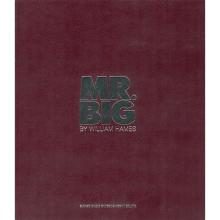 Mr. Big MR.BIG Photo Book