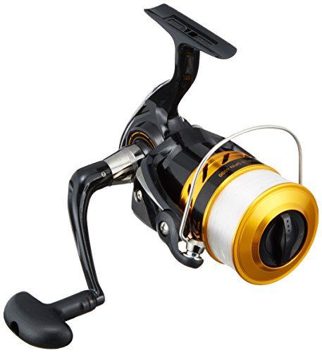 Daiwa 17 World spin 4000 Spinnig Reel