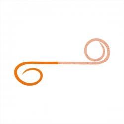 Daiwa Koga Silicone Tie High Speed ​​Twin Curly Orange Lame + Keimura Orange Tairaba Tai Lava