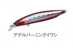 Daiwa Shoreline Shiner Z Vertis R98S Adele Burning Iwashi