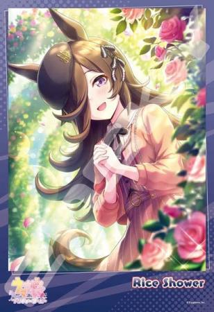 Jigsaw Puzzle Uma Musume Pretty Derby Happiness is Beyond the Corner 300 Piece (300-1996)