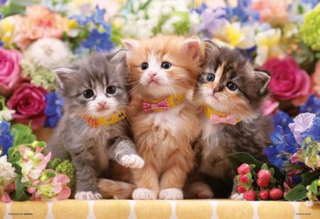 (Made in Japan) Beverly 300-piece jigsaw puzzle Kittens' Flower Time (26 x 38) 300-139