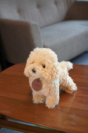 Graceful Dog (Made in Japan) Toy Poodle S Cream Standing Plush Total Length 24cm