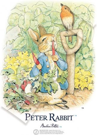 216 Piece Jigsaw Puzzle PETER RABBIT Artworks of Beatrix Potter™ Peter Rabbit™ and Robin Small Pieces (18.2x25.7cm)