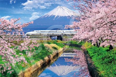Japanese Landscape with Cherry Blossoms, Mt. Fuji, and the Shinkansen, 1000-Piece Jigsaw Puzzle (Shizuoka) (50 x 75 cm), 11-621s, Includes Glue, Spatula, and Score Ticket