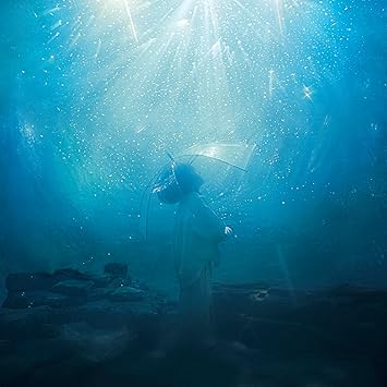 Aqua Timez Stars Falling in the Sea