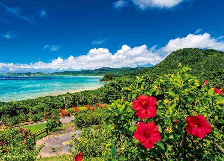 Yanoman (Made in Japan) 500-piece jigsaw puzzle, Sea and Hibiscus, Summer Ishigaki Island (Okinawa) (38x53cm) 05-1097, includes glue, spatula, piece request postcard, service card, and jigsaw puzzle instruction manual