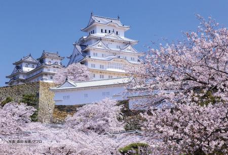 Yanoman (Made in Japan) 70-piece jigsaw puzzle Prism Art Petit Sakura-scented Himeji Castle (10x14.7cm) 97-310 Piece request postcard included
