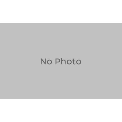 Nismo Welt Body Side Rear Left (76924-22U00) for Skyline GT-R BCNR33 (August 1993 and later models)