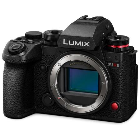 Panasonic mirrorless single-lens camera 