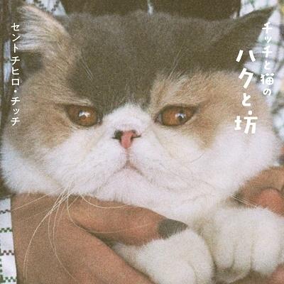 Saint Chihiro Chichi Chichi and the Cat Haku and Bou Book