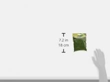 KATO Diorama Supplies Small Plants Medium Green 24-325 Railway Model Supplies