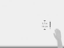 Sailor Fountain Pen Oil-Based Ballpoint Pen Graceful Makie Four Gods Byakko Black 16-0374-220