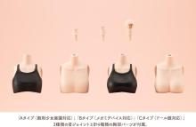 Kotobukiya (KOTOBUKIYA) Sosai Shojo Teien Dress-Up Body (S) Color C Ver. 1/10 Scale Plastic Model, Approximately 121mm Tall