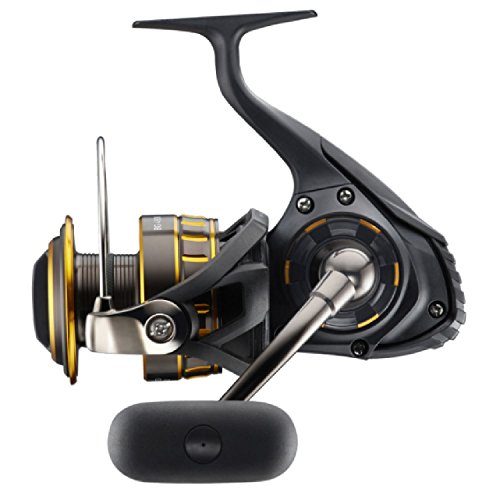 Daiwa Wind Surf 35 Thigh Spinning - Discovery Japan Mall