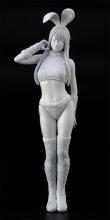 Hasegawa 1/12 Real Figure Collection No. 45 Bunny Cosplay Unpainted Resin Kit SP676 (Person)