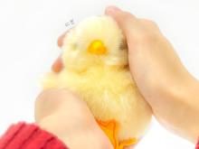 Yoshitoku Land Friends Plush Toy Chick 180444