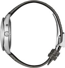 CITIZEN Watch The Citizen Iconic Nature Collection AQ4100-22A Men's