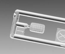 Hasegawa 1/12 Honda XLR250R (MD22) 1991 Plastic Model BK18 (Motorcycle)