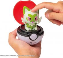 Pokemon Pyokopuni Nyaohha