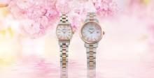 SEIKO Watch LUKIA Pink Gradient Dial 2026 SAKURA Blooming Limited Edition SSWA018 Women's Silver & Silky Pink