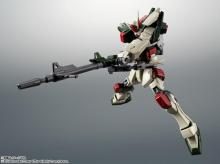 ROBOT Spirits Mobile Suit Gundam SEED <SIDE MS> GAT-X103 Buster Gundam ver. ANIME Approx. 125mm ABS & PVC painted movable figure