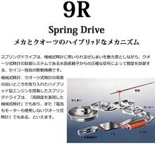 GRAND SEIKOMen's Spring Drive SBGA293