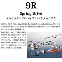 GRAND SEIKOMen's Spring Drive SBGA301