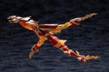 Kotobukiya Arcanadia Xenoalma Blaze Opis, approximately 256mm in length, non-scale plastic model