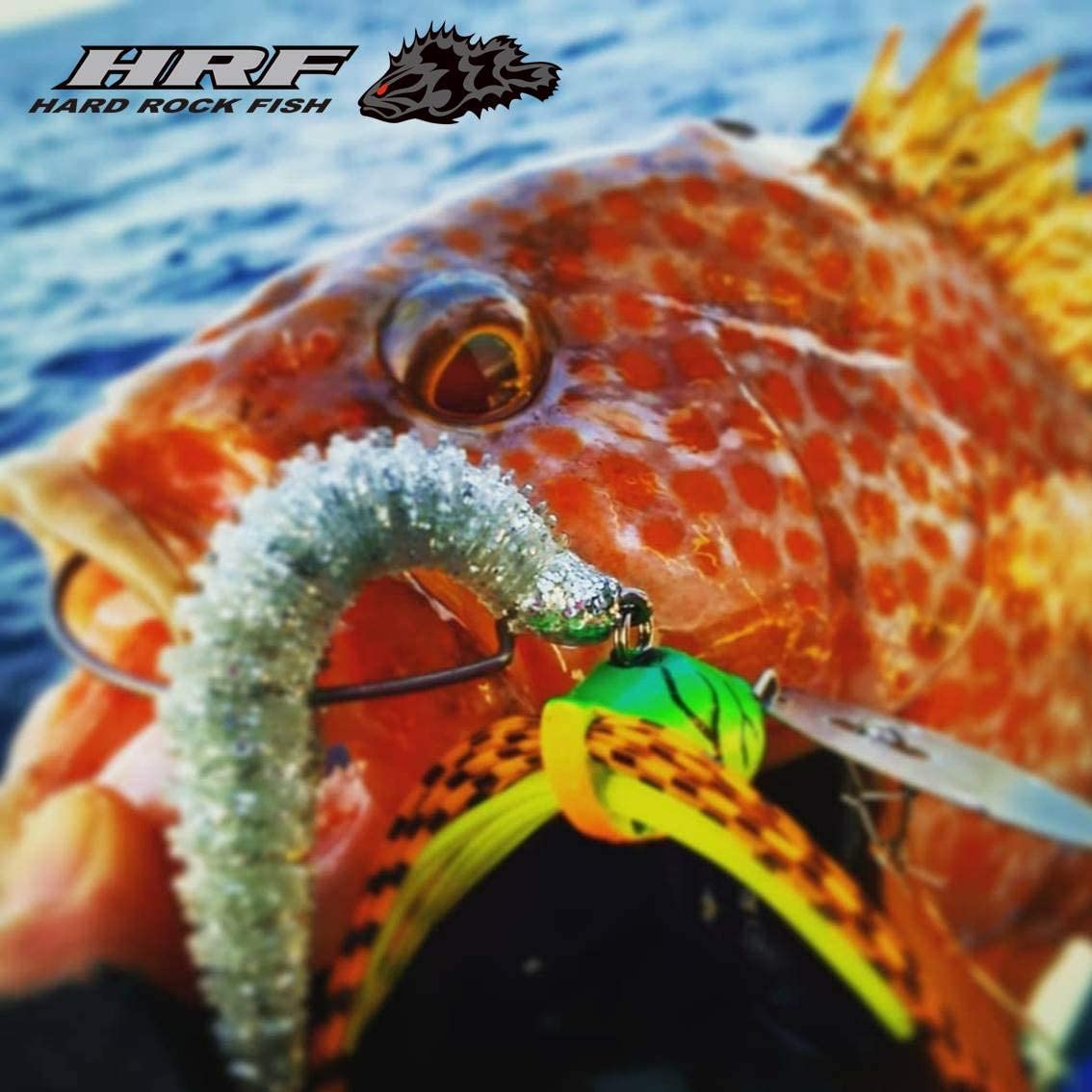 DAIWA Rockfish HRF Kiji Chatal Lure Discovery Japan Mall