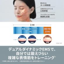 Panasonic Vitalift Brush EMS Electric Brush Face Care Ion Greige EH-SP60-H