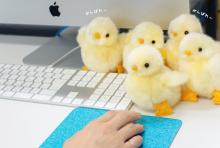 Yoshitoku Land Friends Plush Toy Chick 180444